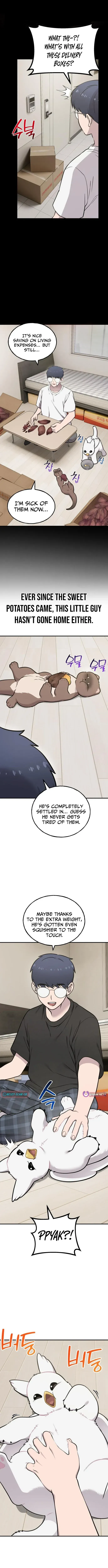Hello, Griffin the Fluffy Bird! Chapter 47 page 9 - 