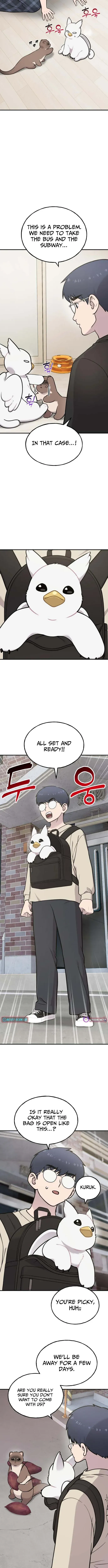 Hello, Griffin the Fluffy Bird! Chapter 48 page 2 - 