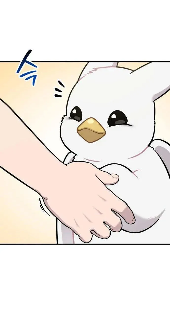 Hello, Griffin the Fluffy Bird! Chapter 49 page 47 - 