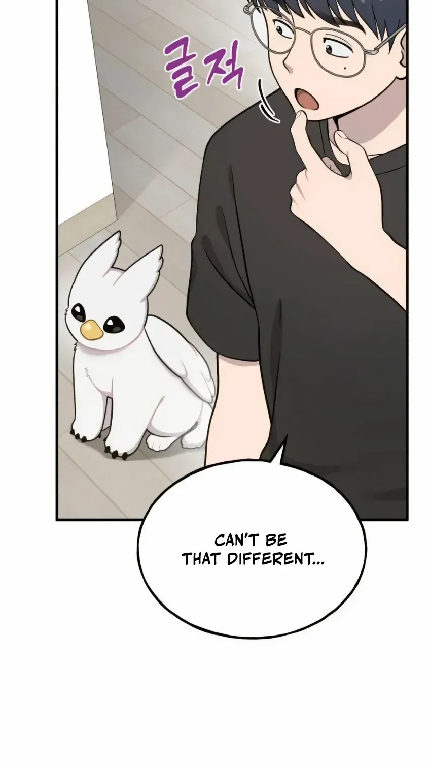 Hello, Griffin the Fluffy Bird! Chapter 5 page 31 - 