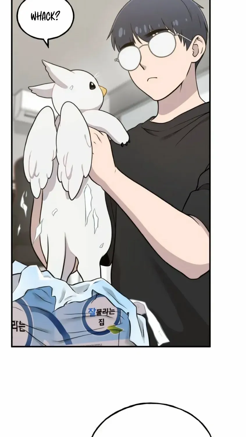 Hello, Griffin the Fluffy Bird! Chapter 5 page 68 - 