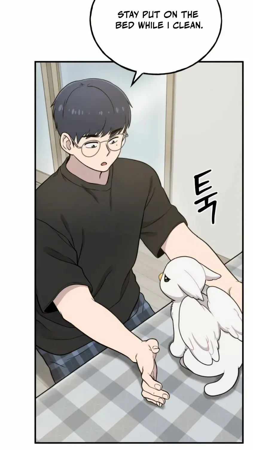 Hello, Griffin the Fluffy Bird! Chapter 5 page 69 - 