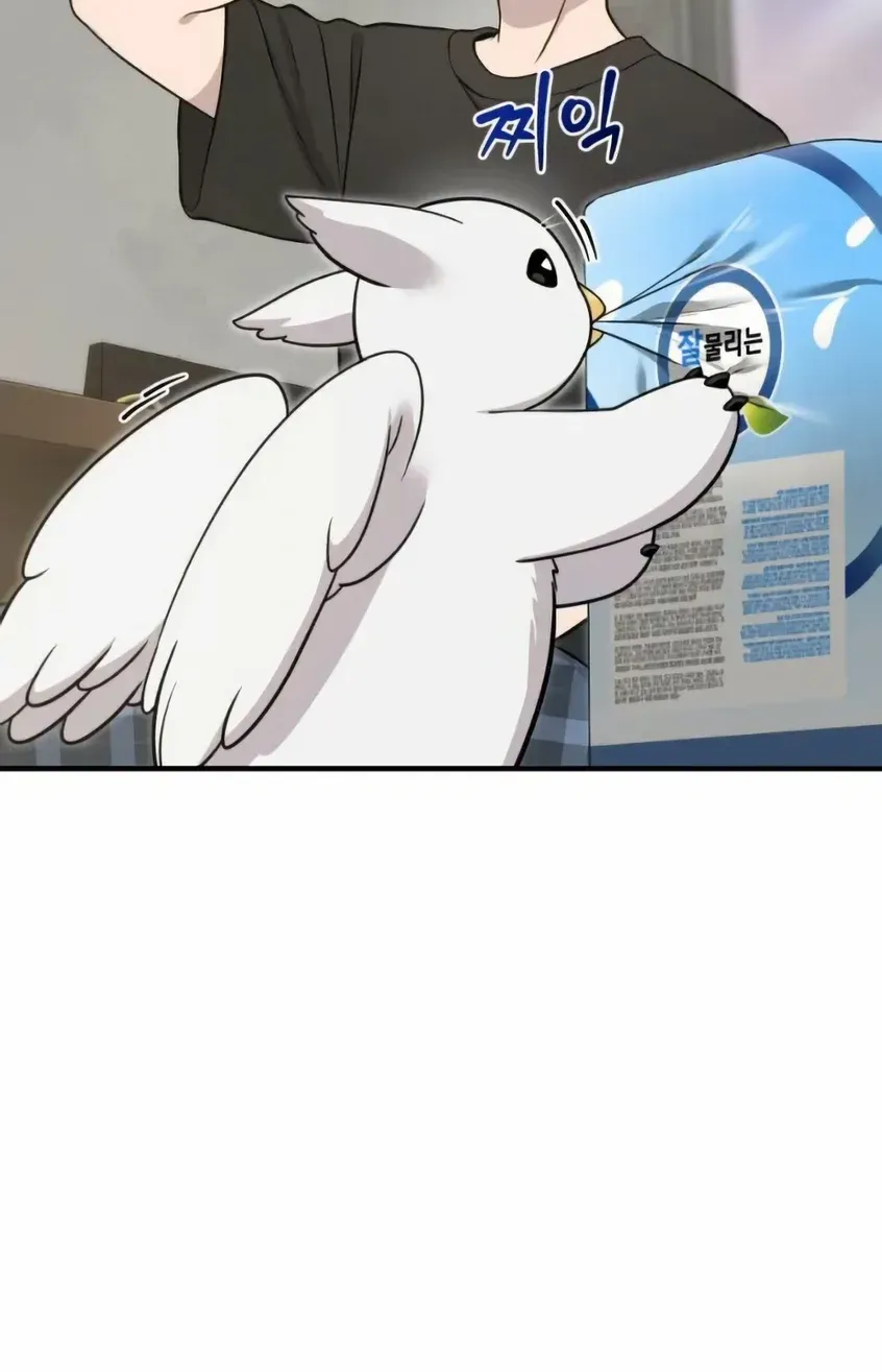 Hello, Griffin the Fluffy Bird! Chapter 5 page 9 - 