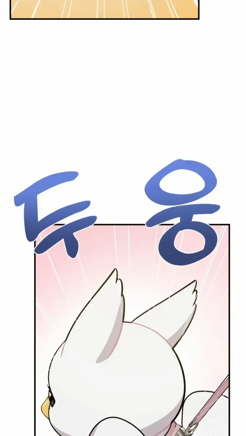 Hello, Griffin the Fluffy Bird! Chapter 5 page 97 - 