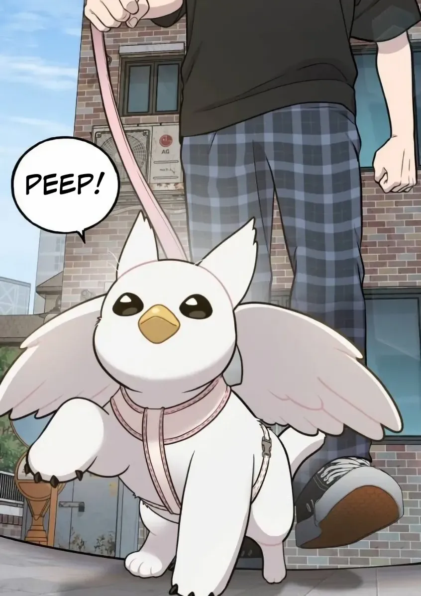Hello, Griffin the Fluffy Bird! Chapter 6 page 26 - 