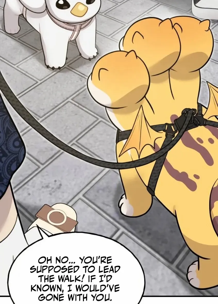 Hello, Griffin the Fluffy Bird! Chapter 6 page 42 - 