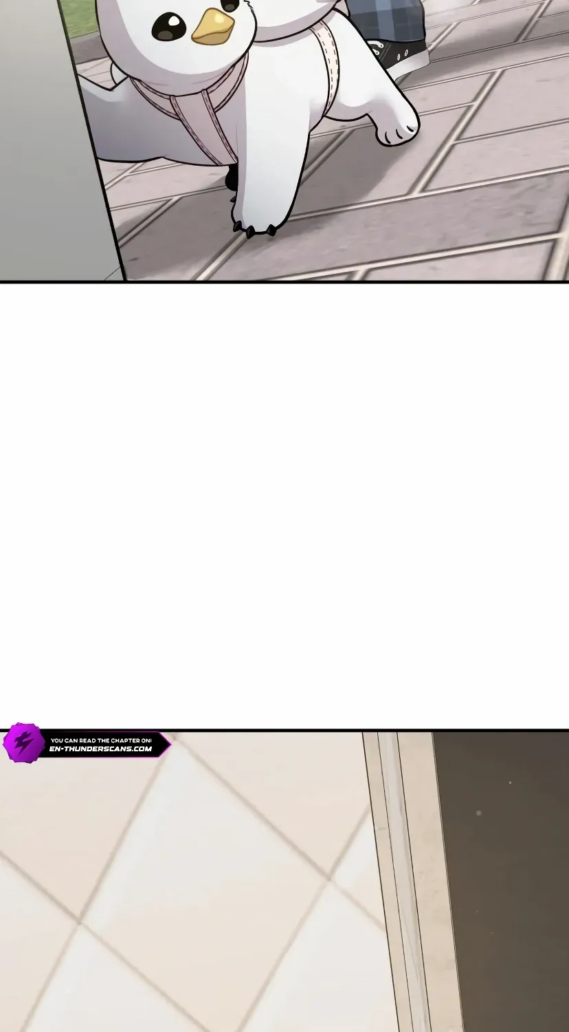 Hello, Griffin the Fluffy Bird! Chapter 7 page 39 - 