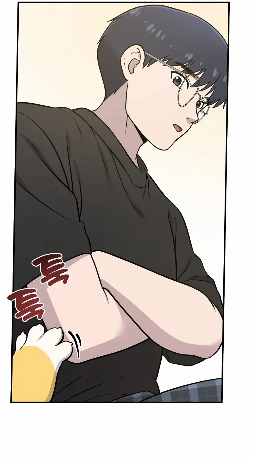 Hello, Griffin the Fluffy Bird! Chapter 7 page 73 - 