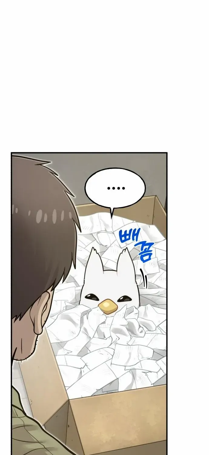 Hello, Griffin the Fluffy Bird! Chapter 8 page 36 - 