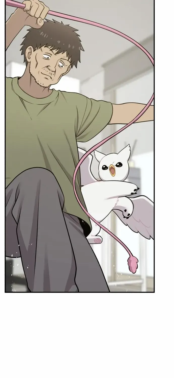 Hello, Griffin the Fluffy Bird! Chapter 8 page 48 - 