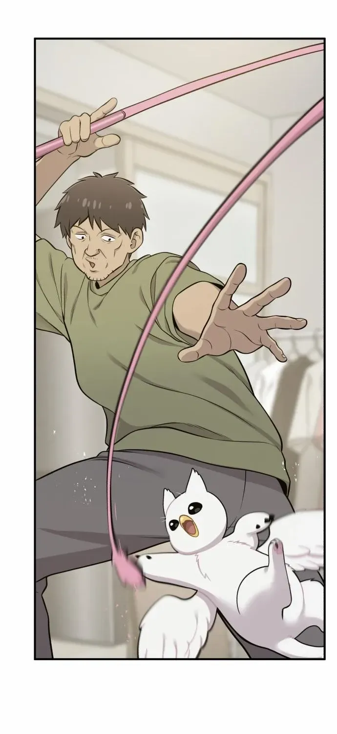 Hello, Griffin the Fluffy Bird! Chapter 8 page 49 - 