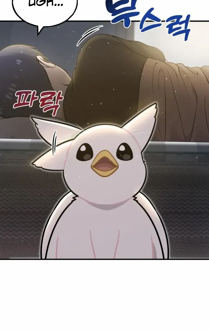 Hello, Griffin the Fluffy Bird! Chapter 8 page 6 - 