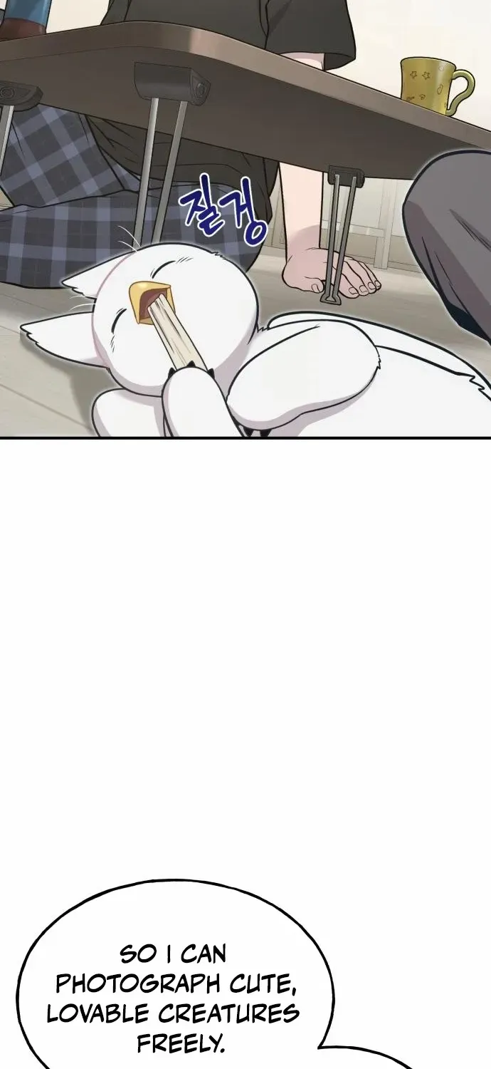 Hello, Griffin the Fluffy Bird! Chapter 8 page 64 - 