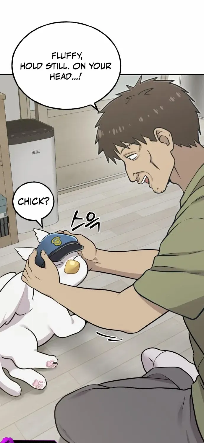 Hello, Griffin the Fluffy Bird! Chapter 8 page 68 - 