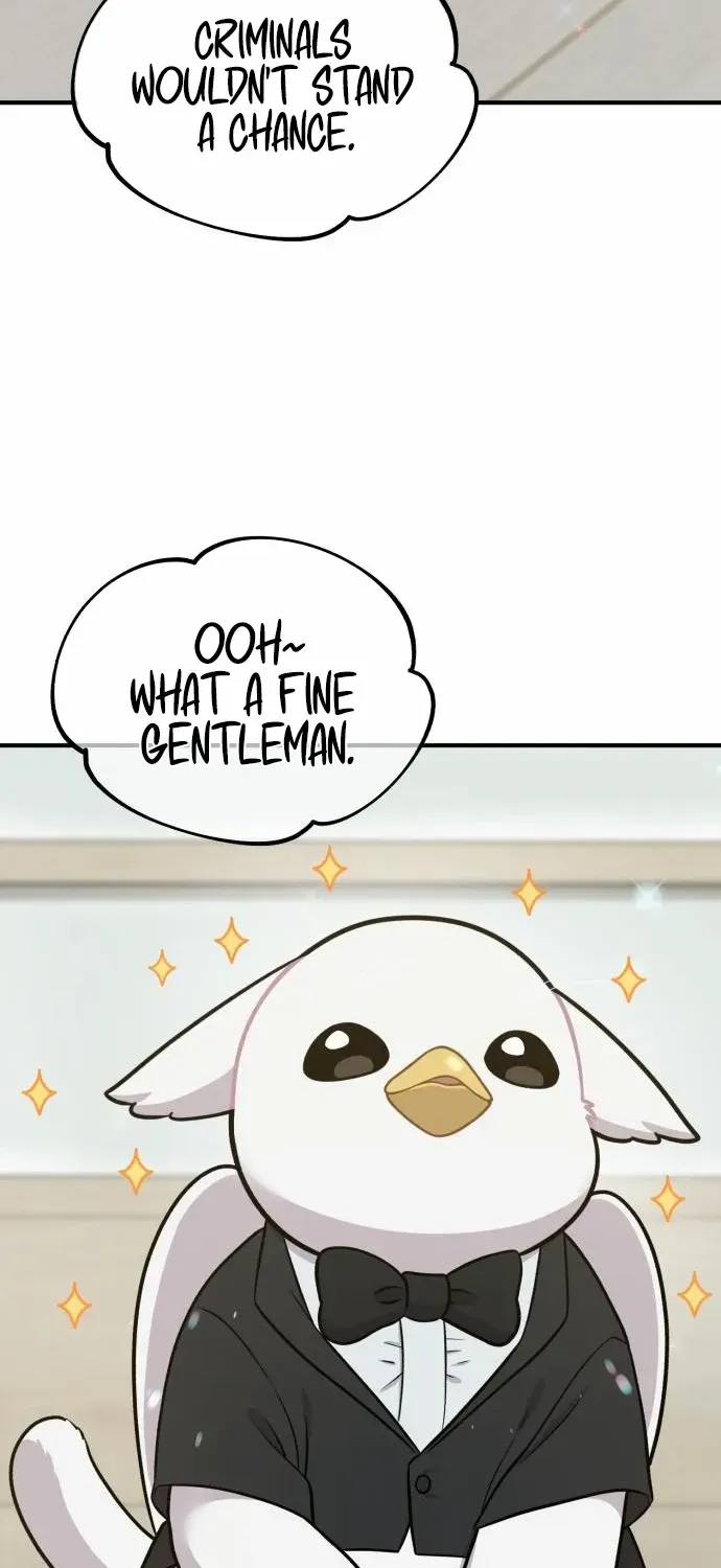 Hello, Griffin the Fluffy Bird! Chapter 8 page 74 - 