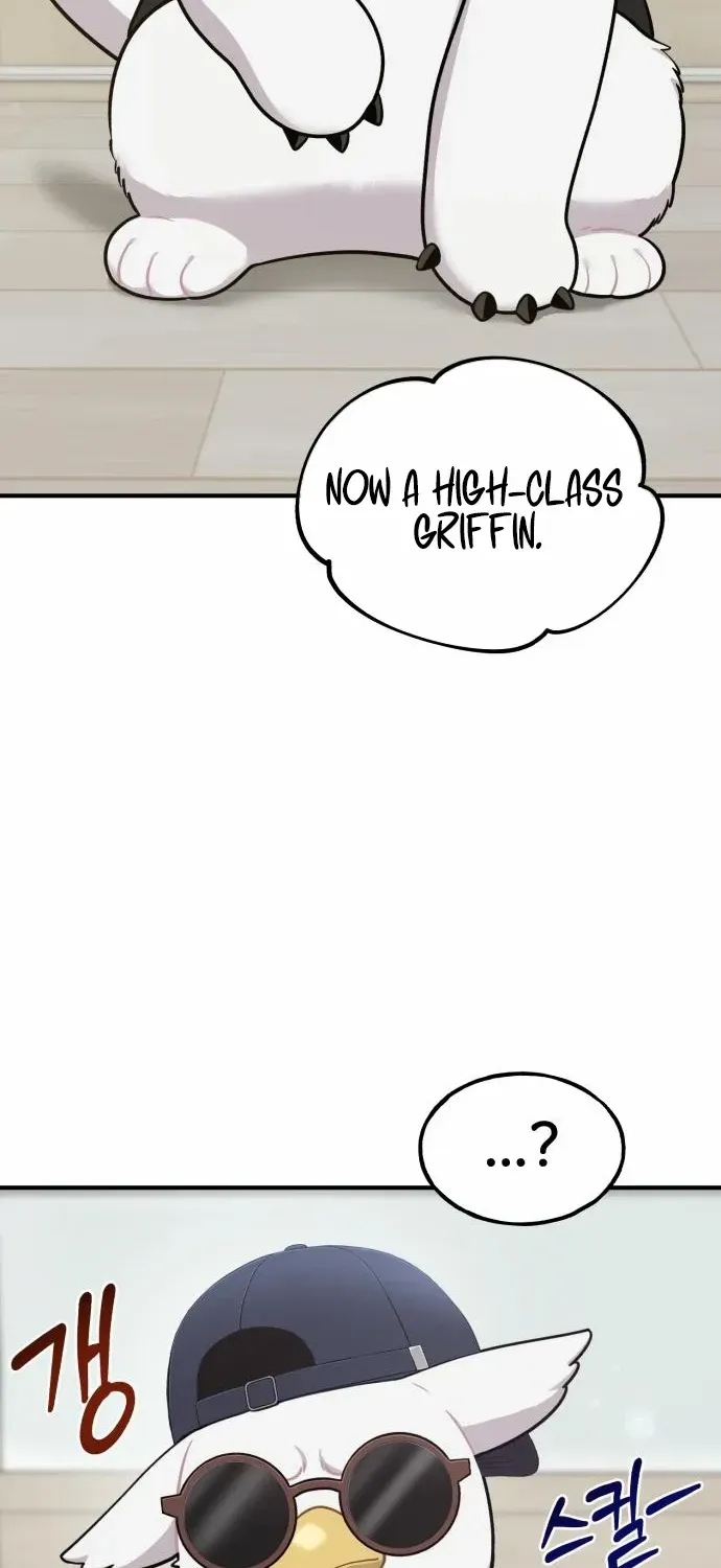 Hello, Griffin the Fluffy Bird! Chapter 8 page 75 - 