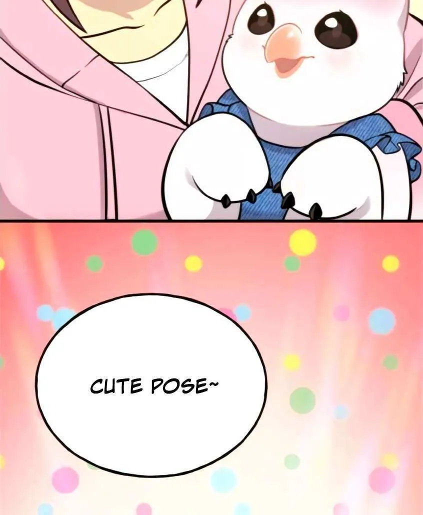 Hello, Griffin the Fluffy Bird! Chapter 9 page 23 - 