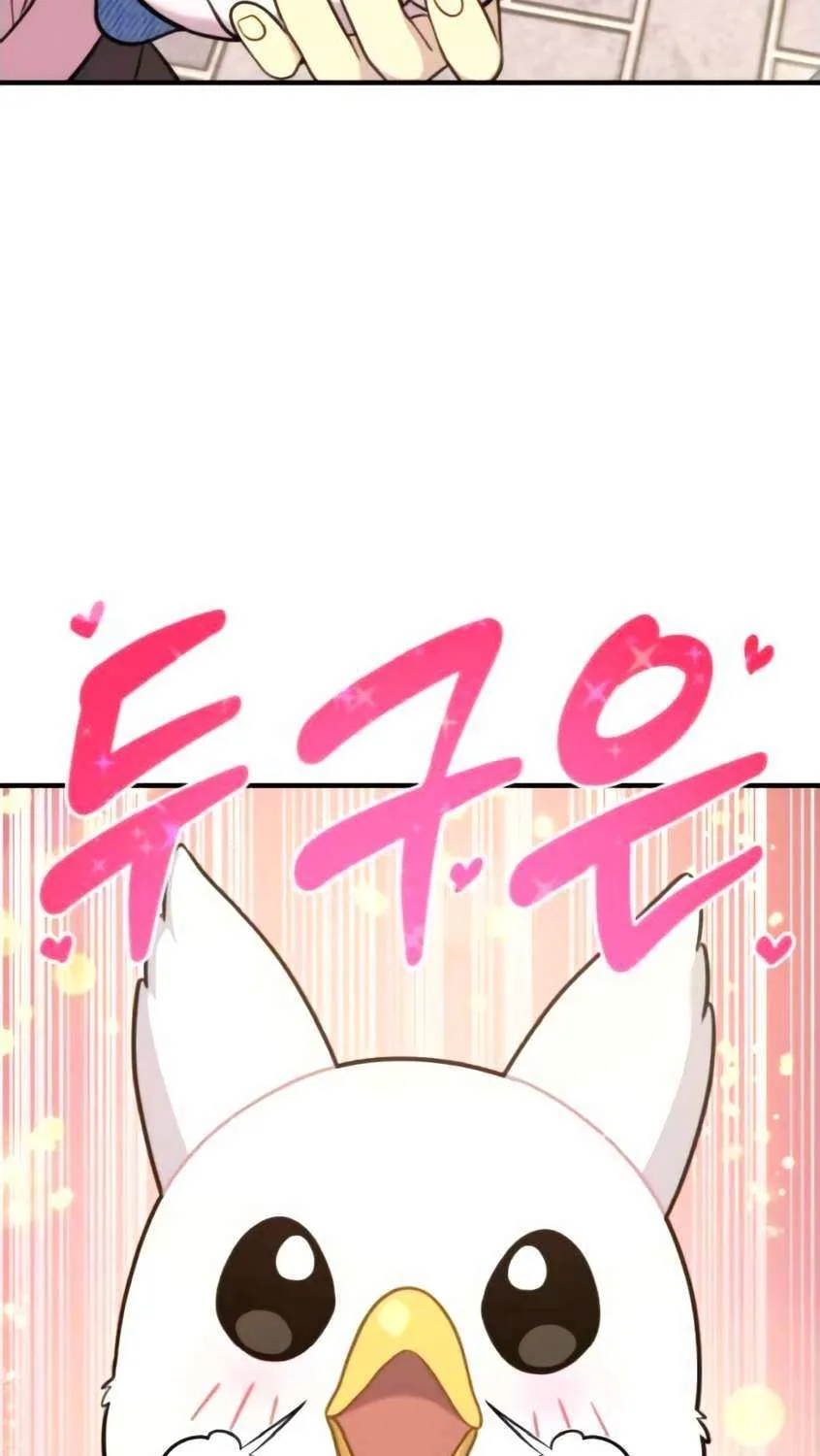 Hello, Griffin the Fluffy Bird! Chapter 9 page 28 - 