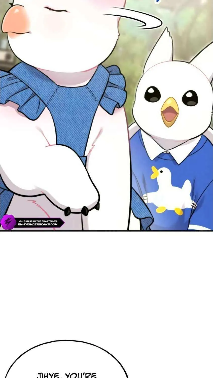 Hello, Griffin the Fluffy Bird! Chapter 9 page 42 - 