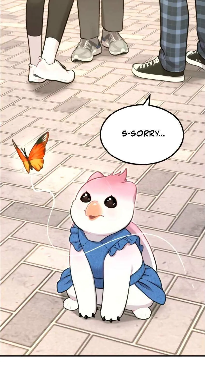 Hello, Griffin the Fluffy Bird! Chapter 9 page 66 - 