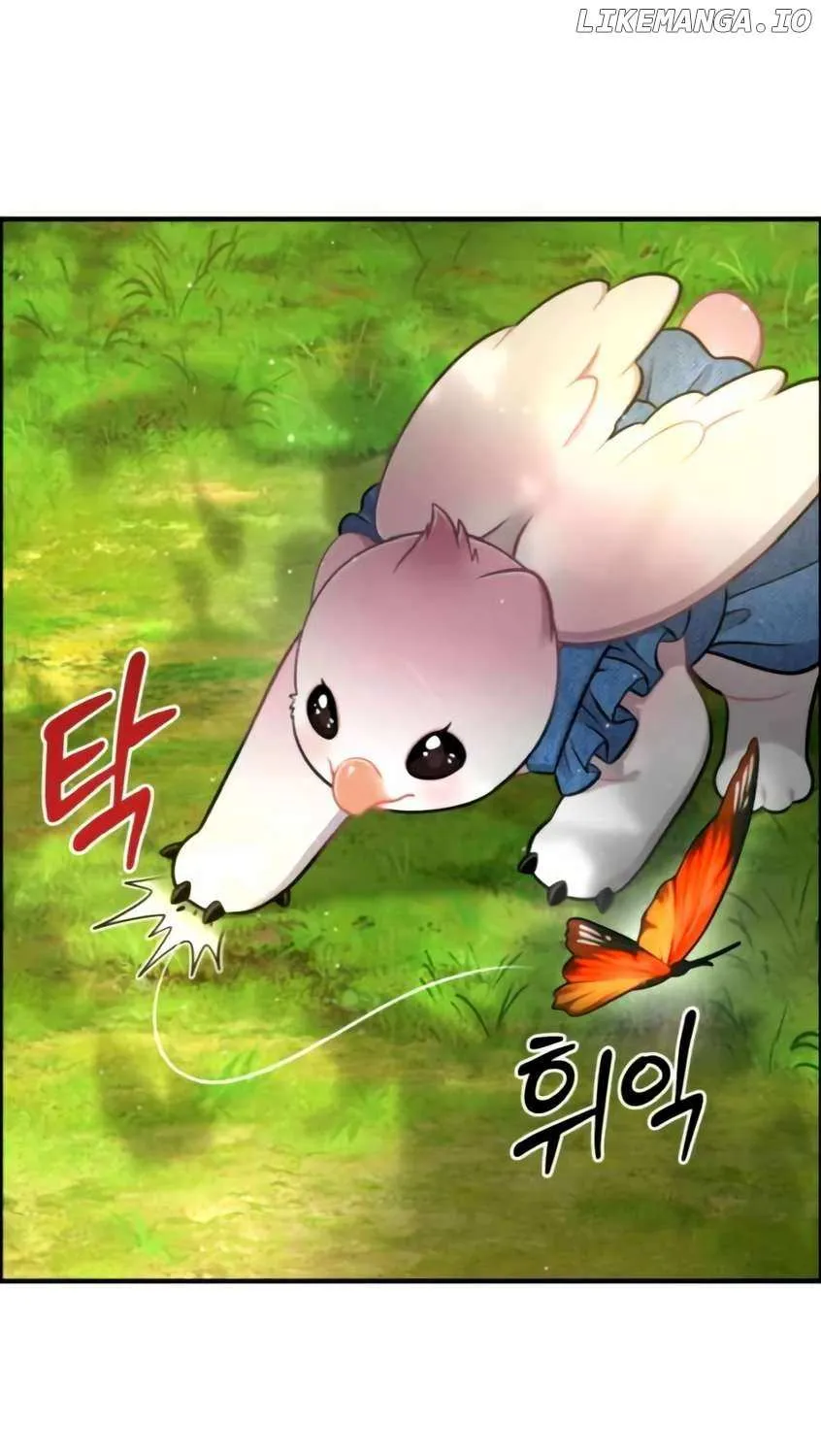 Hello, Griffin the Fluffy Bird! Chapter 9 page 79 - 