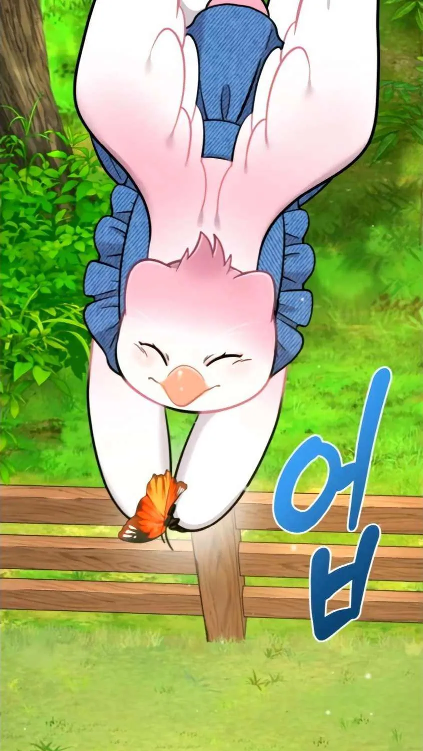 Hello, Griffin the Fluffy Bird! Chapter 9 page 83 - 