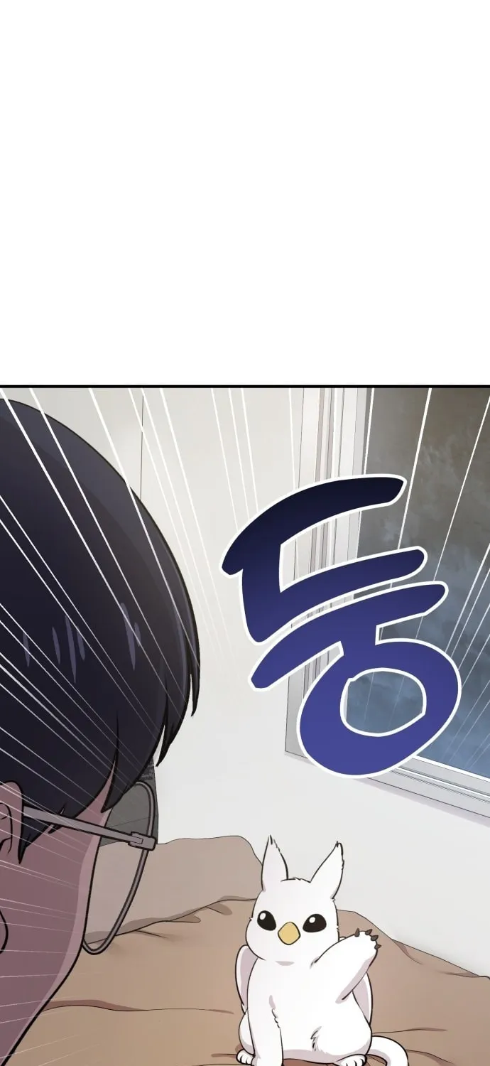 Hello, Griffin the Squinty-Eyed! Chapter 1 page 12 - 