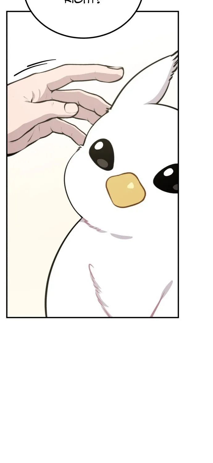 Hello, Griffin the Squinty-Eyed! Chapter 1 page 33 - 