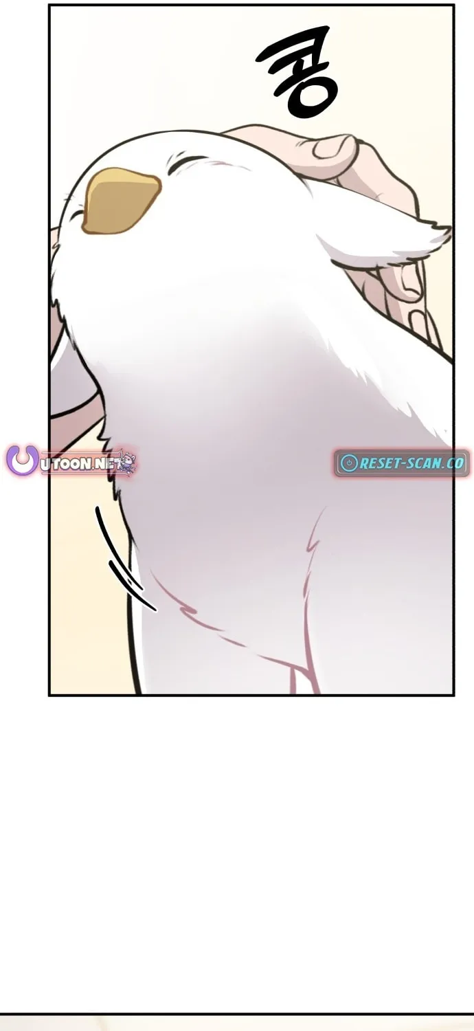Hello, Griffin the Squinty-Eyed! Chapter 1 page 34 - 