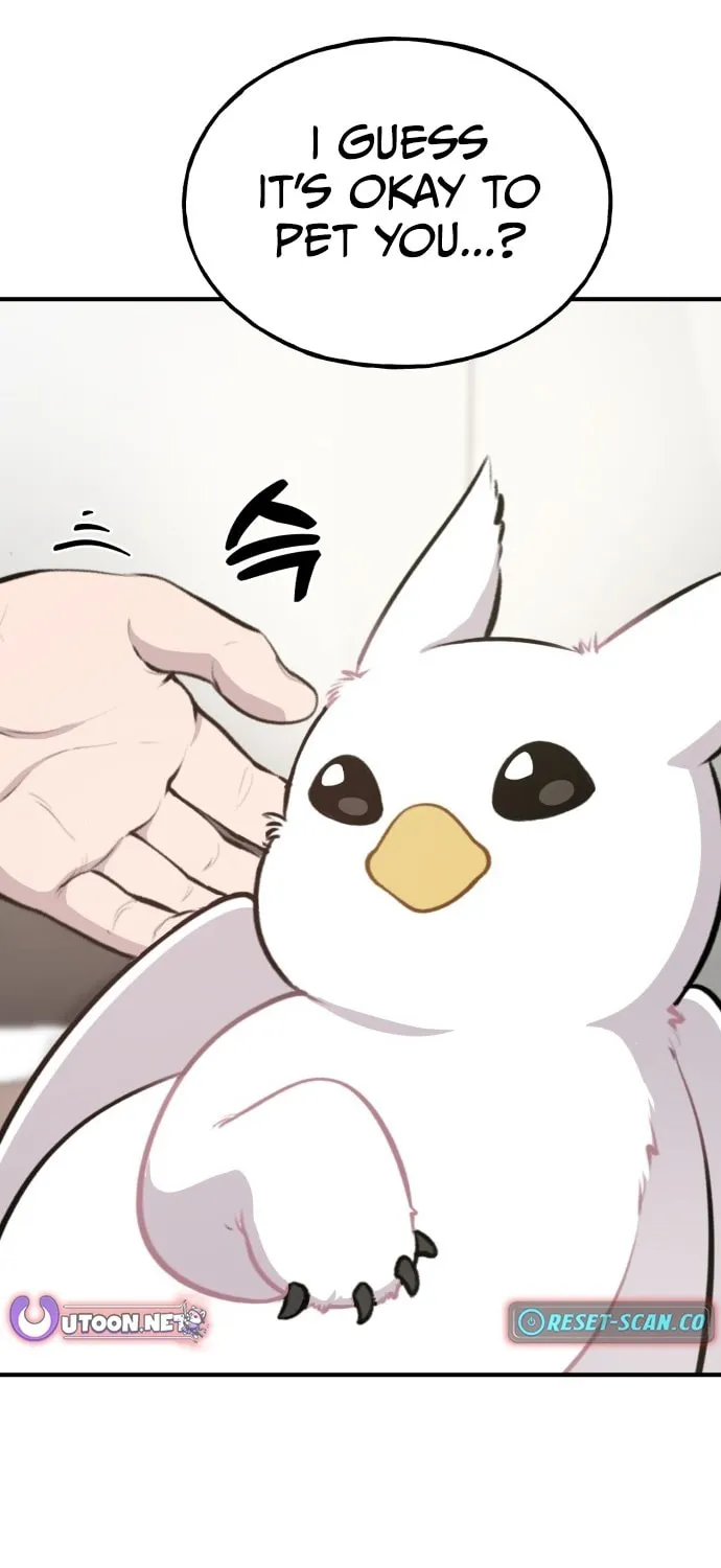 Hello, Griffin the Squinty-Eyed! Chapter 1 page 38 - 