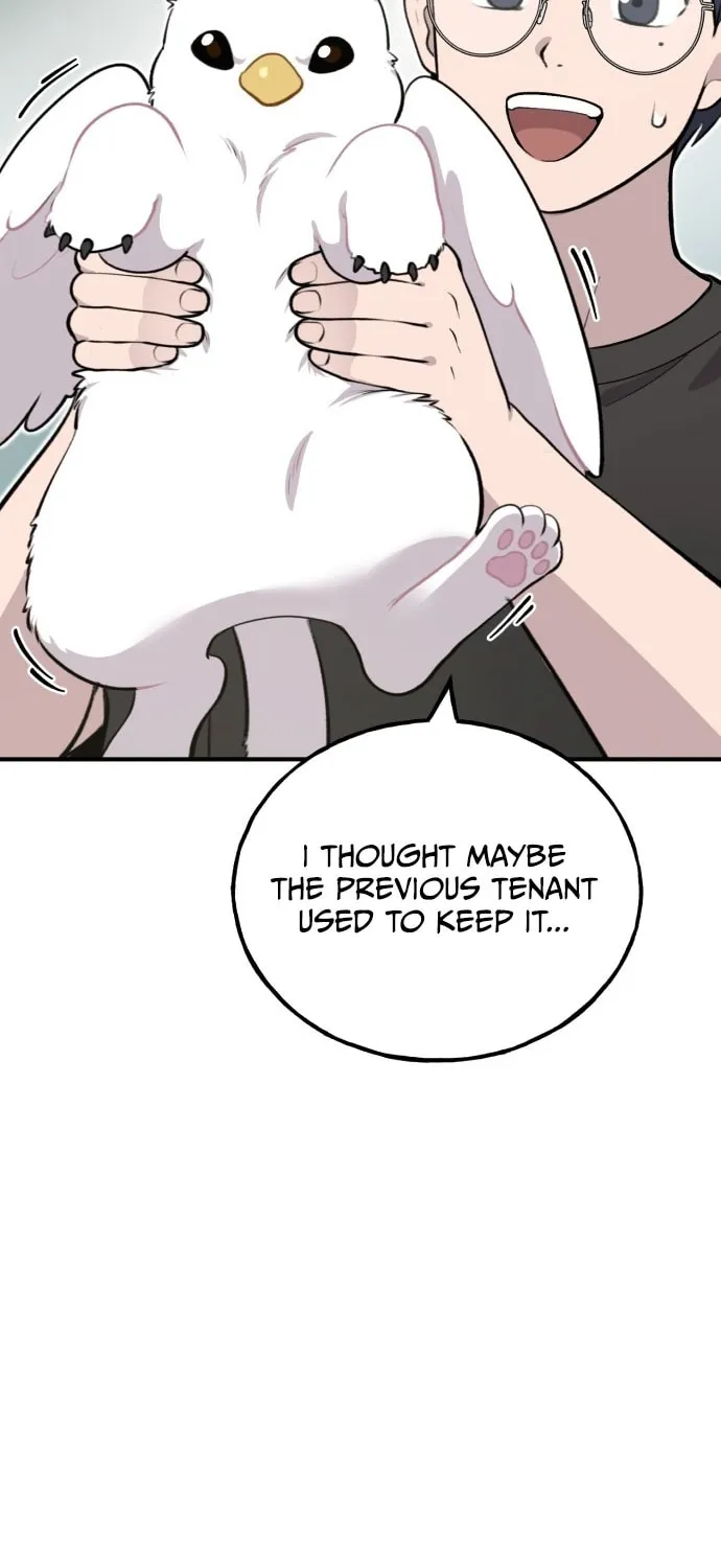 Hello, Griffin the Squinty-Eyed! Chapter 1 page 53 - 