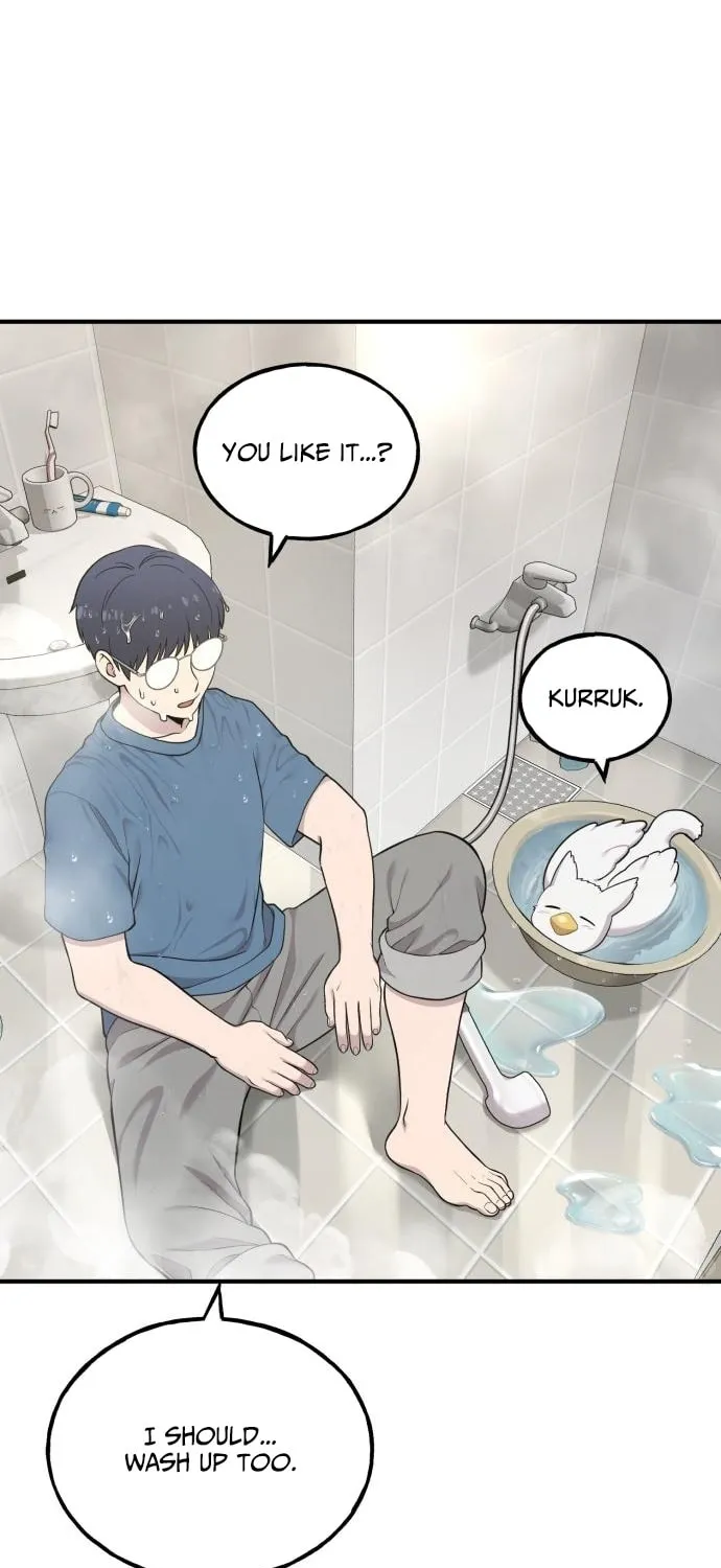 Hello, Griffin the Squinty-Eyed! Chapter 11 page 17 - 