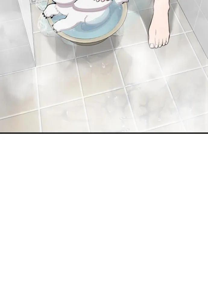 Hello, Griffin the Squinty-Eyed! Chapter 11 page 21 - 