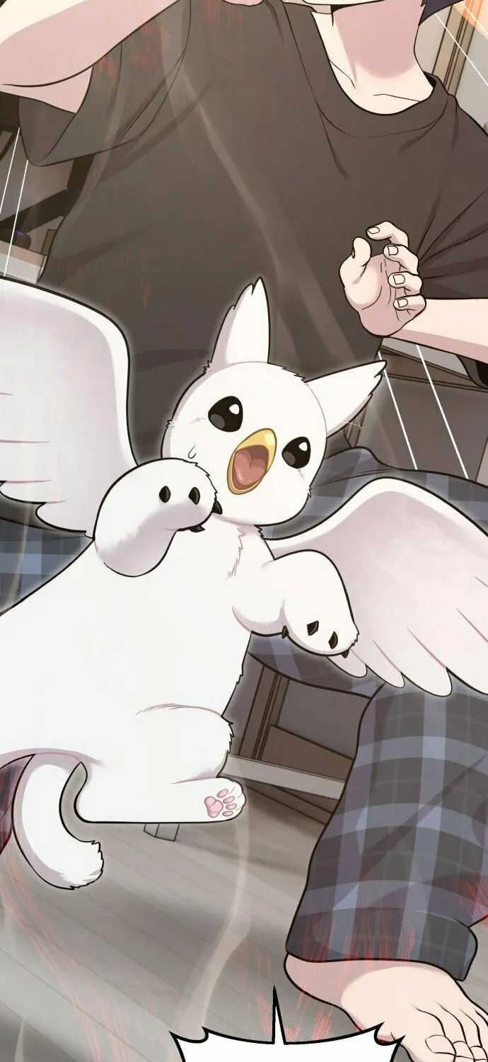 Hello, Griffin the Squinty-Eyed! Chapter 12 page 24 - 