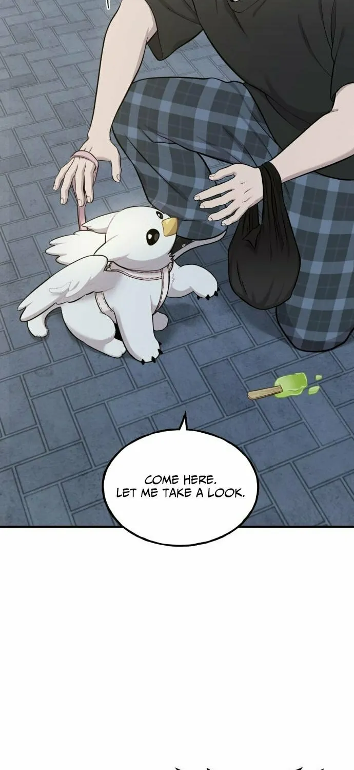 Hello, Griffin the Squinty-Eyed! Chapter 12 page 53 - 
