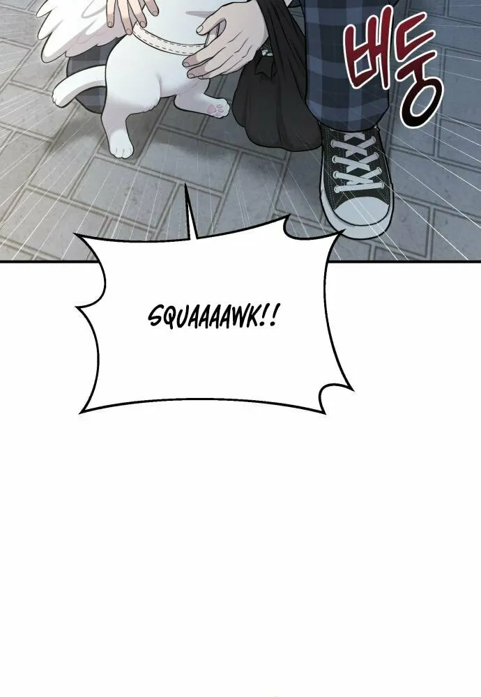 Hello, Griffin the Squinty-Eyed! Chapter 12 page 56 - 