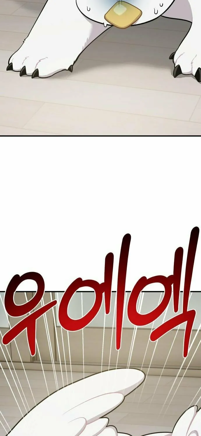 Hello, Griffin the Squinty-Eyed! Chapter 14 page 17 - 
