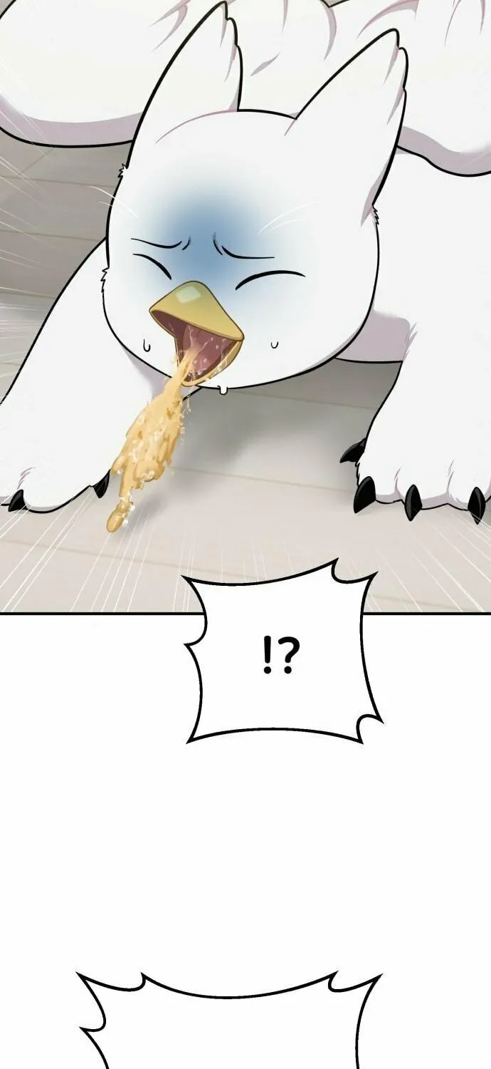 Hello, Griffin the Squinty-Eyed! Chapter 14 page 18 - 