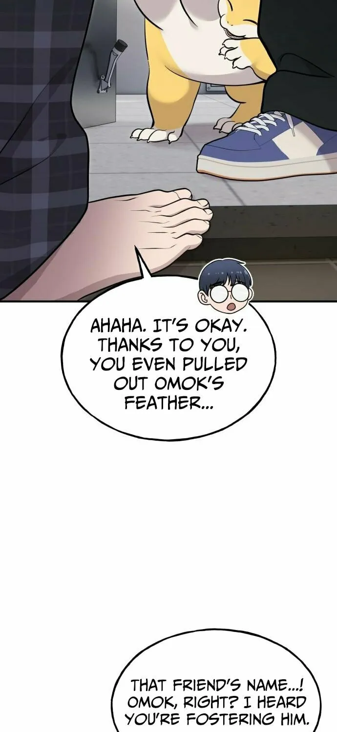 Hello, Griffin the Squinty-Eyed! Chapter 14 page 8 - 