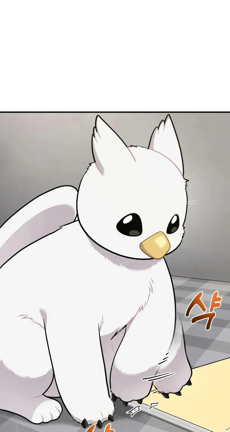 Hello, Griffin the Squinty-Eyed! Chapter 15 page 75 - 