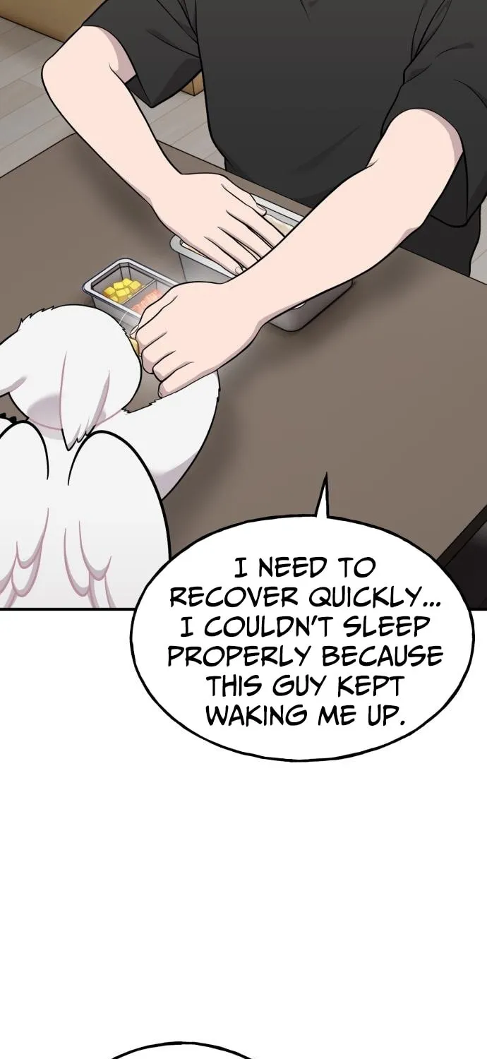 Hello, Griffin the Squinty-Eyed! Chapter 16 page 12 - 
