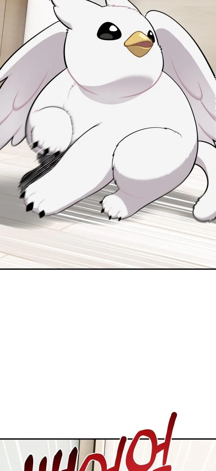 Hello, Griffin the Squinty-Eyed! Chapter 16 page 33 - 