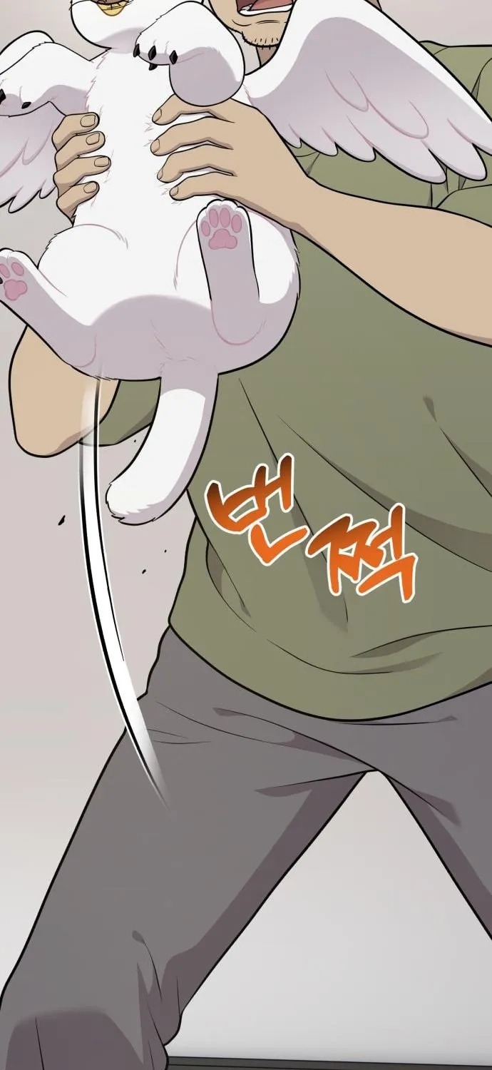 Hello, Griffin the Squinty-Eyed! Chapter 16 page 64 - 