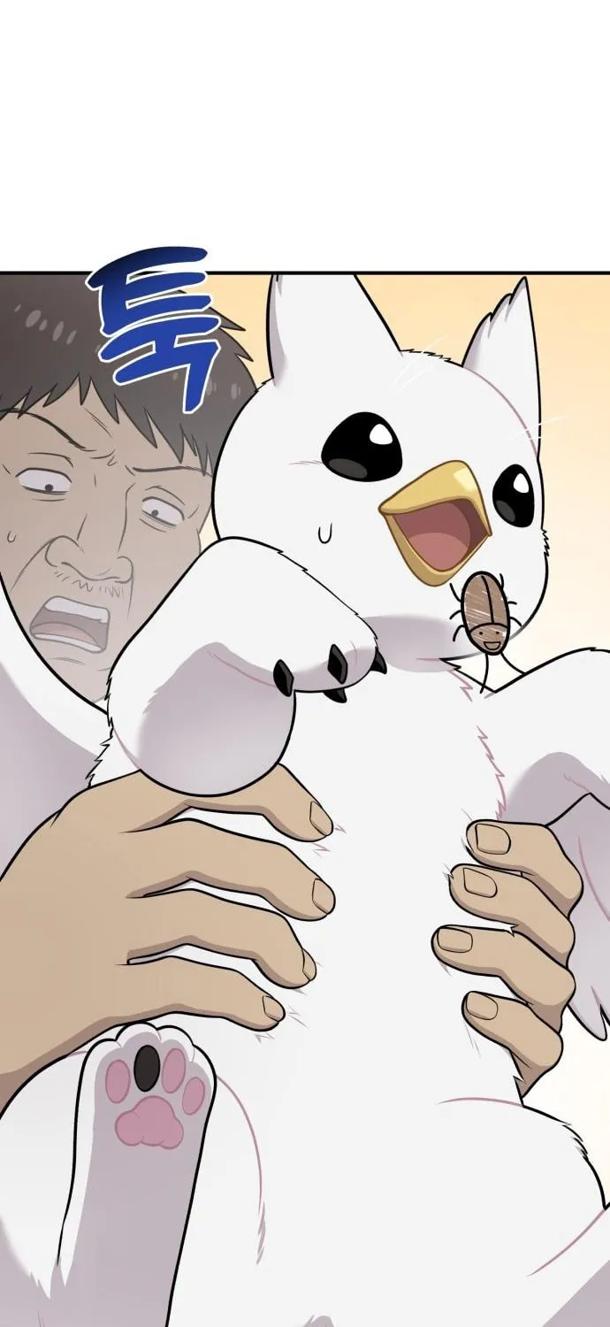 Hello, Griffin the Squinty-Eyed! Chapter 16 page 66 - 