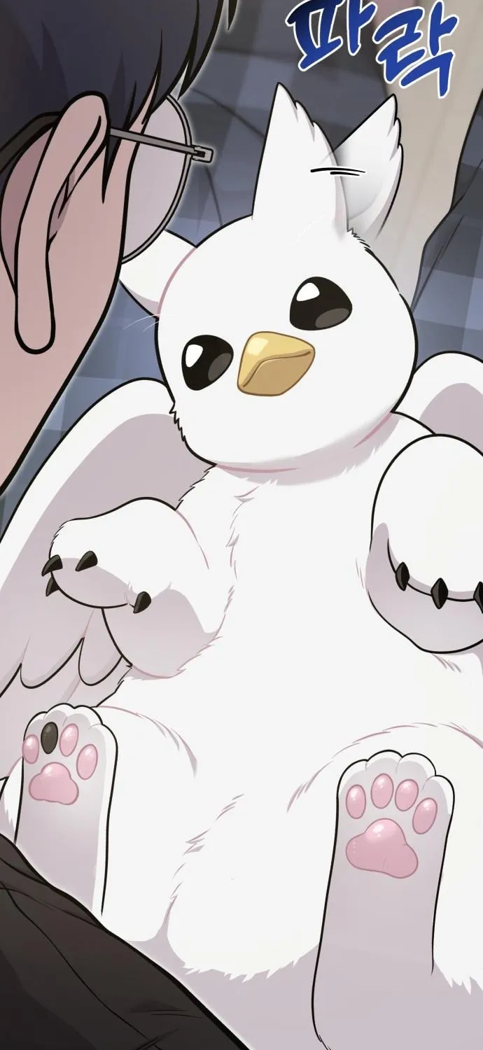 Hello, Griffin the Squinty-Eyed! Chapter 17 page 37 - 