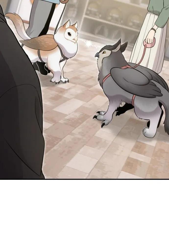Hello, Griffin the Squinty-Eyed! Chapter 17 page 56 - 
