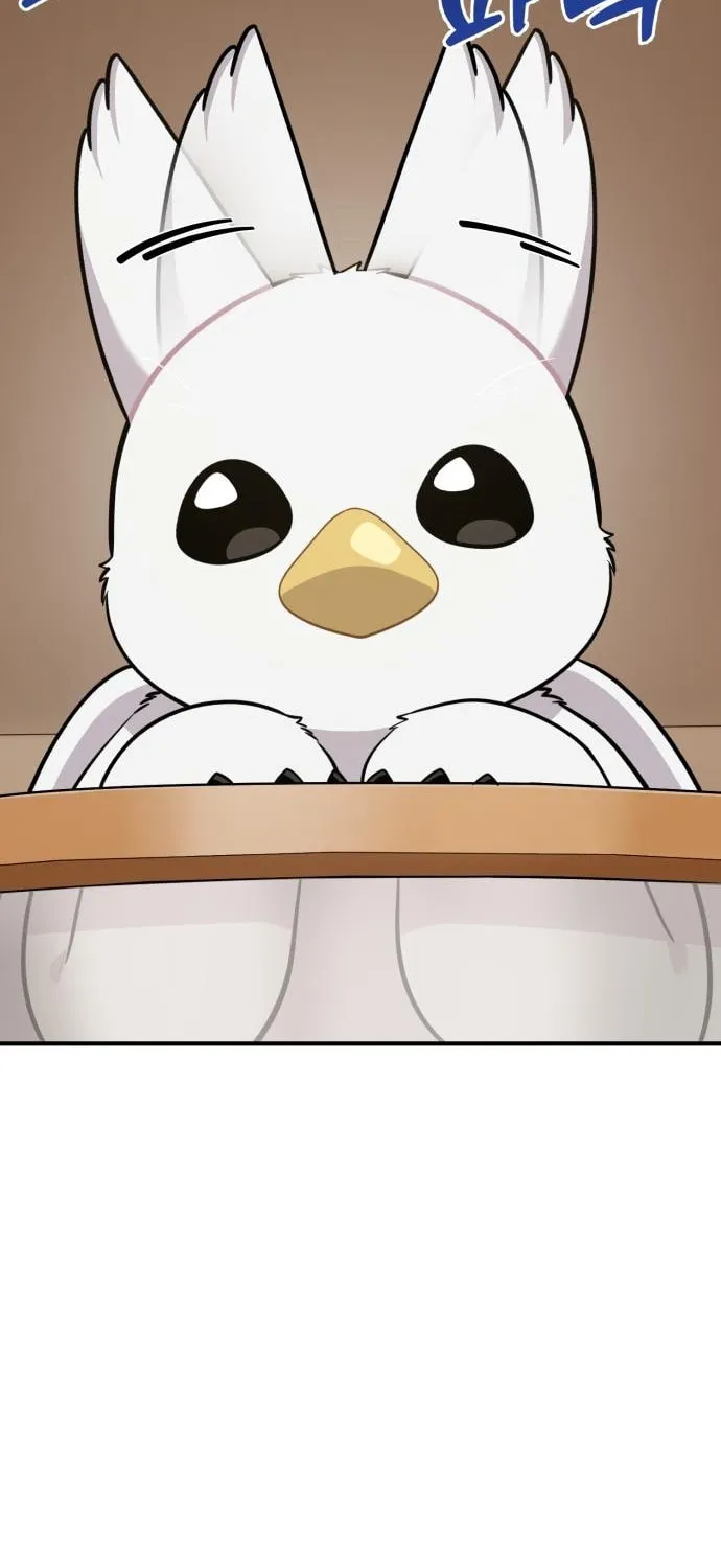 Hello, Griffin the Squinty-Eyed! Chapter 18 page 67 - 