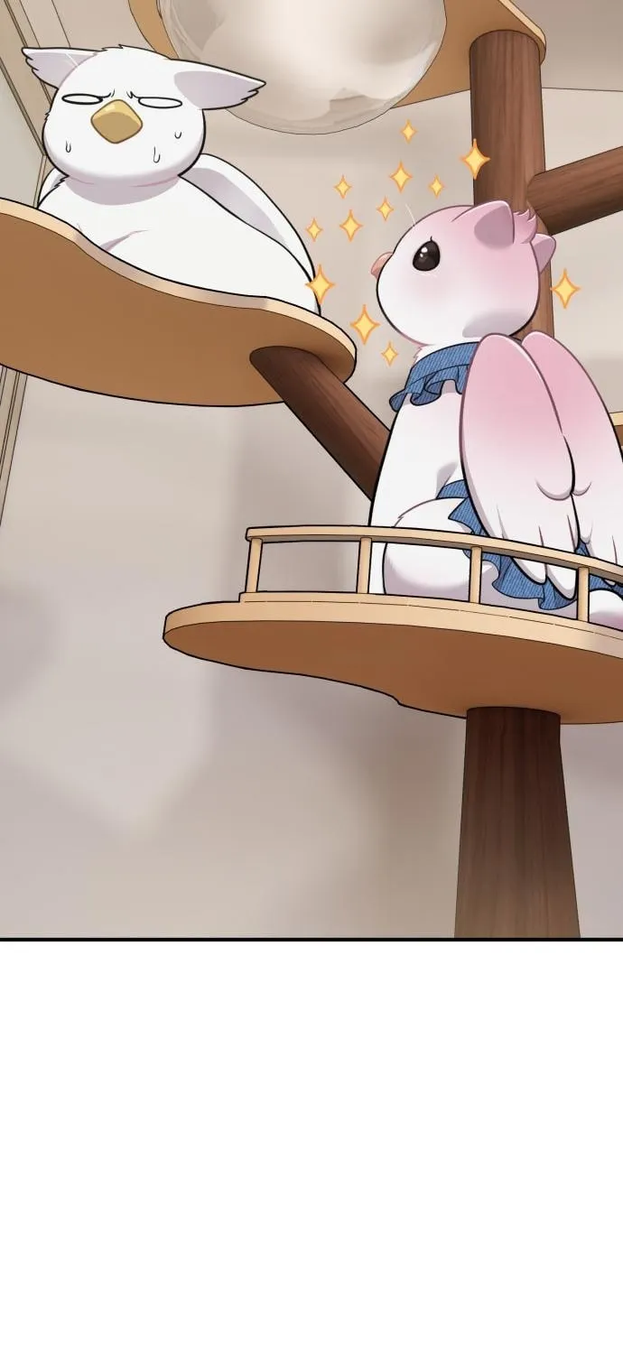 Hello, Griffin the Squinty-Eyed! Chapter 18 page 78 - 