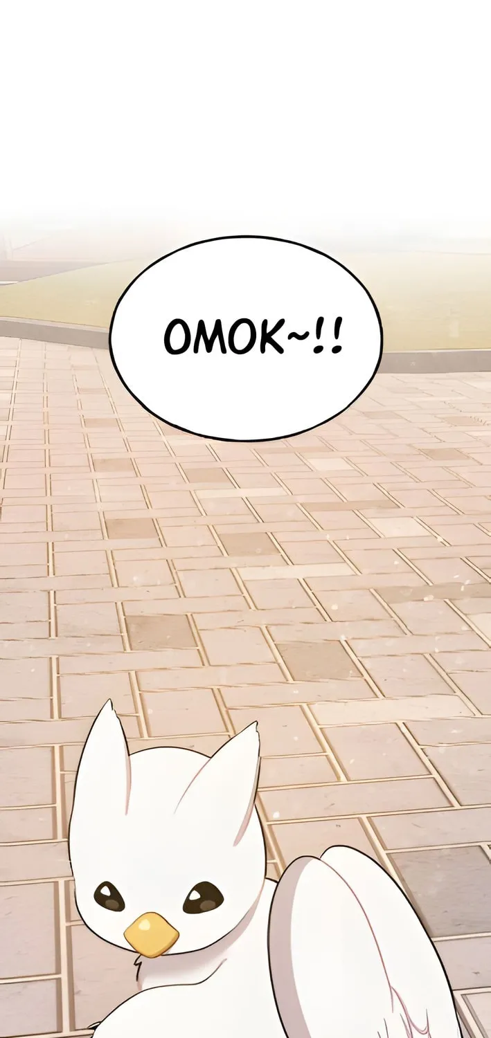 Hello, Griffin the Squinty-Eyed! Chapter 2 page 34 - 