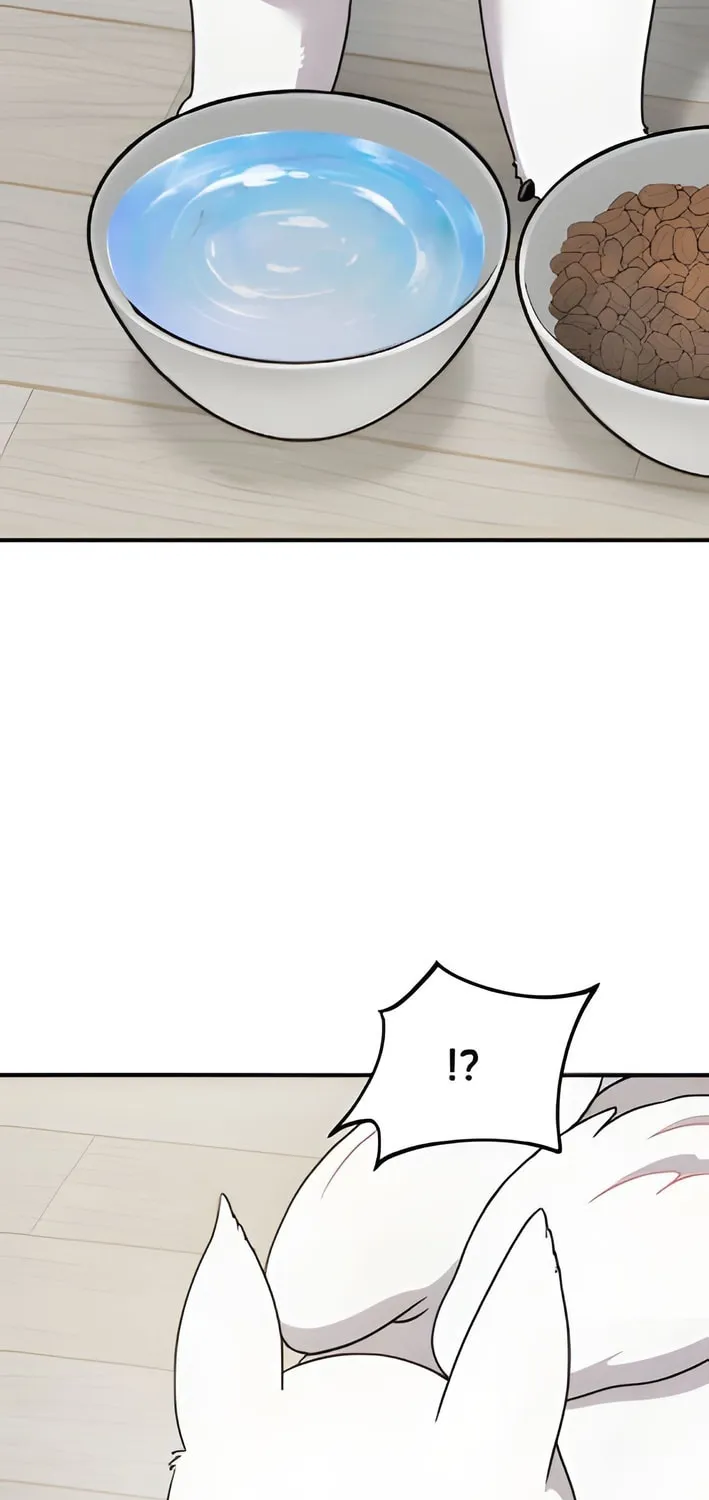 Hello, Griffin the Squinty-Eyed! Chapter 2 page 57 - 